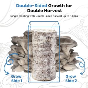 π Organic Blue Oyster Mushroom Grow Kit (4lbs), Made in USA